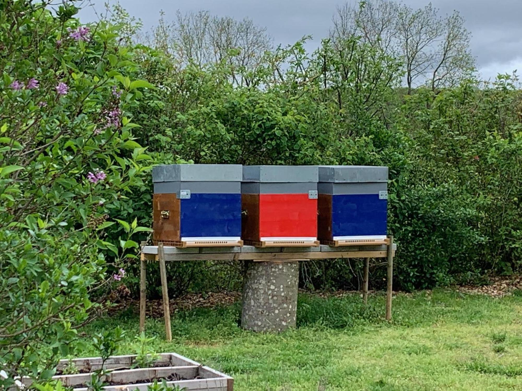 Le Rucher Mirabelle Hébergement de vacances